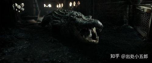 巨鳄风暴,惊心动魄的生态灾难