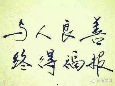 善良的种类,探索善良的丰富种类与内涵