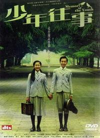 少年往事,青春岁月的回忆录